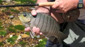 Haines Hunter MD John Haber displays a 760 prototype hull.
